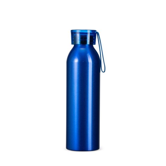 Garrafa Alumínio 650ml