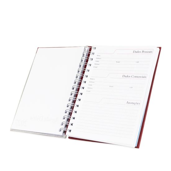 Agenda Diária 2027