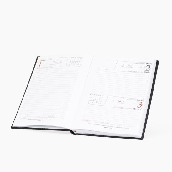 Agenda Diária 2027