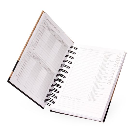 Agenda Diária 2026