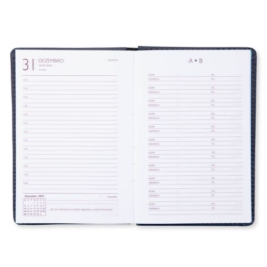 Agenda Diária 2027