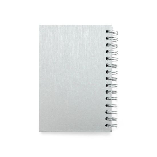 Agenda Diária 2027