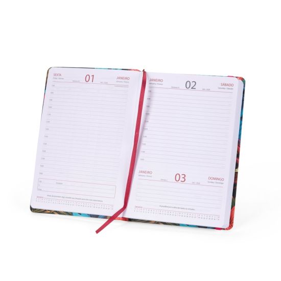 Agenda Diária 2027