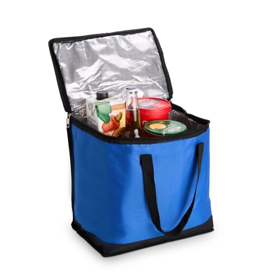 Bolsa Térmica 20 Litros