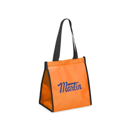 Bolsa Térmica 12 Litros