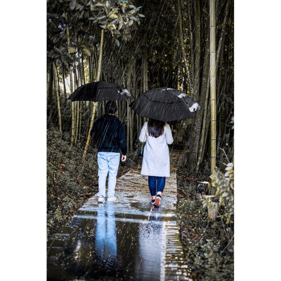 Guarda-chuva de 27.5'' em Poliéster 100% Reciclado Pongee 190T Gavin