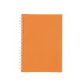 Caderno Capa Fosca Com Pauta