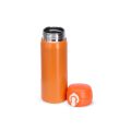 Garrafa Inox 500ml