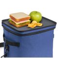 Bolsa Térmica 15 Litros